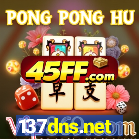 137dns.net