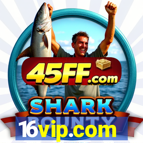 16vip.com