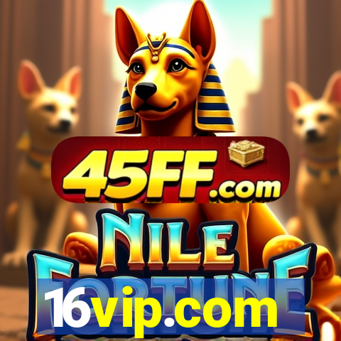 16vip.com