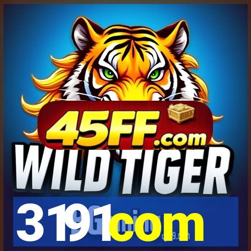 3191com