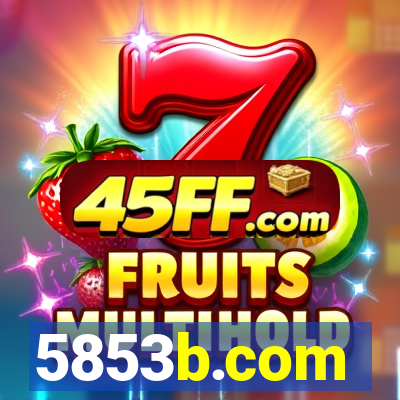 5853b.com