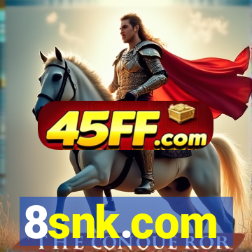 8snk.com