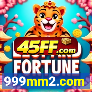 999mm2.com