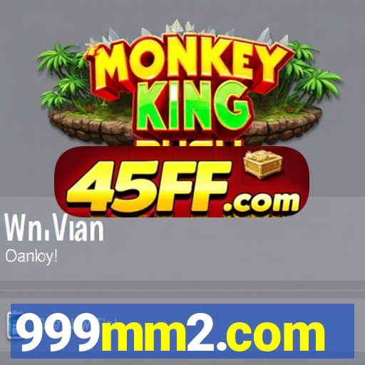 999mm2.com