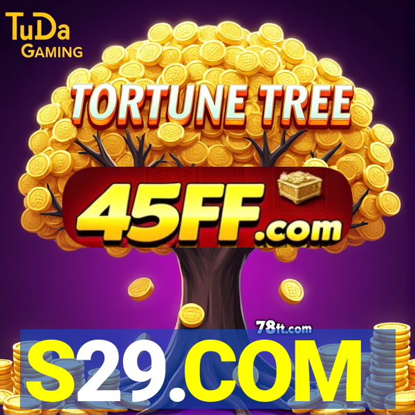 S29.COM