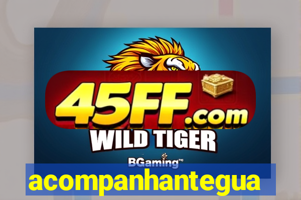 acompanhanteguanambi