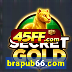 brapub66.com