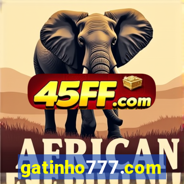 gatinho777.com