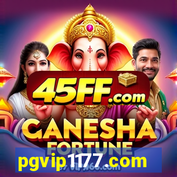 pgvip1177.com