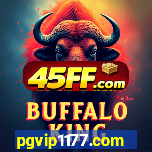 pgvip1177.com