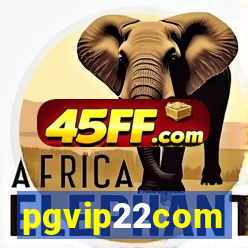 pgvip22com