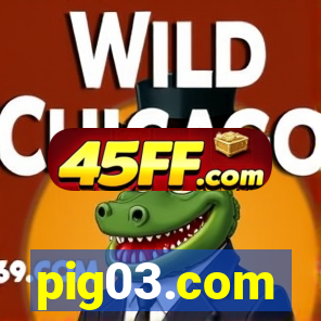 pig03.com