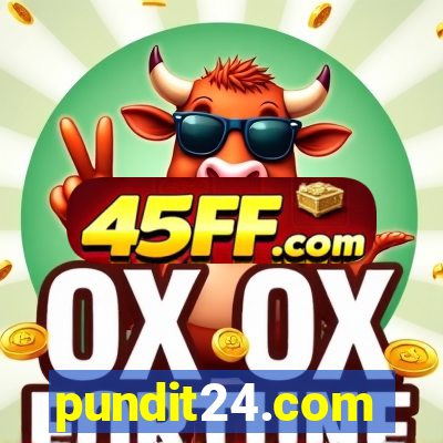 pundit24.com