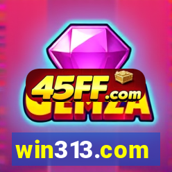 win313.com