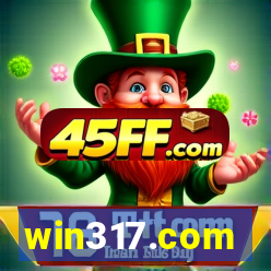win317.com