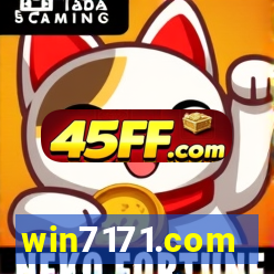 win7171.com