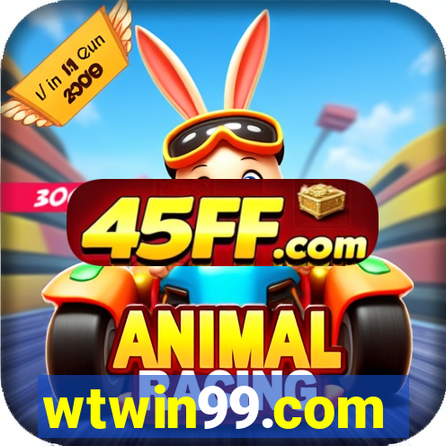 wtwin99.com
